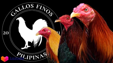 The Lemons – Sabong Depot Poultry & Gamefowl .